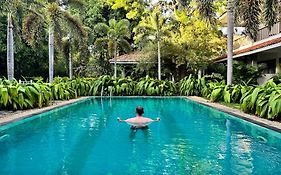 Tissa Wild Heaven